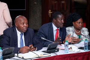 Intergovernmental Relations Technical Committee Chairperson Kithinji Kiragu and board members John Burungu and Angeline Honyo