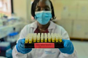 Alice Kiyong'a, a research associate and biologist