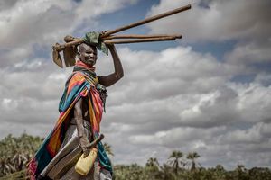 drought, climate change, turkana drought