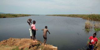 river yala, lake victoria, bilharzia