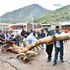  a log that had fallen and blocked the Kitale -Lodwar highway following a heavy downpour and raging floods on March 26, 2023.