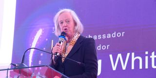 US ambassador to Kenya Meg Whitman