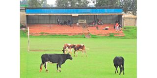 A shed constructed by James Finlays Tea Company at Kapkatet Stadium