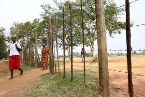 Bungoma airstrip land 