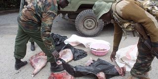 Bush meat 