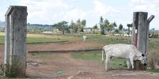 Eldama Ravine Stadium 
