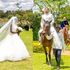 Akothee and Dennis Schweizer on their wedding day.