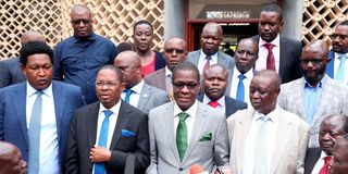 Azimio legislators led by National Assembly Minority Leader Opiyo Wandayi and his Senate counterpart Stewart Madzayo