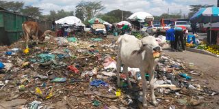 Kitengela Garbage 