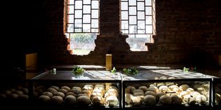 A picture taken on March 22, 2019, shows skulls of victims of Rwanda’s 1994 genocide at the Ntarama Genocide Memorial