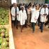 Kisii avocado oil extraction plant
