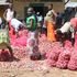 Women pack onions into nets in Ortum, West Pokot County