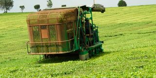 A tea plucking machine