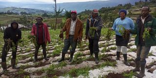 Nyandarua hailstorms