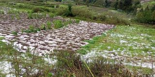 Nyandarua hailstorms
