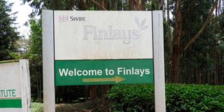 James Finlay Tea estates in Kericho