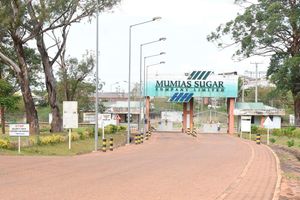 Mumias Sugar