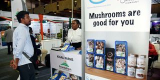 A man visits a Randan stand dealing in mushrooms during the 2023 Agri-Africa Expo and Conference at KICC 