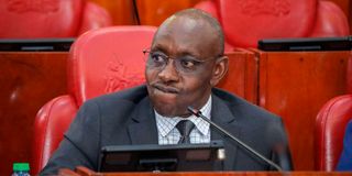 Rural Electrification and Renewable Energy Corporation chief executive Peter Mbugua