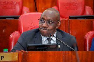 Rural Electrification and Renewable Energy Corporation chief executive Peter Mbugua