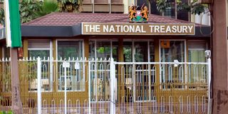 National Treasury