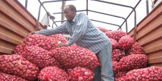 A trader unloads onions to sell. 