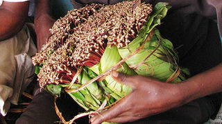 Miraa