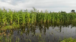 Kanyaboli floods Budalangi