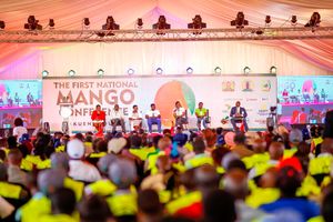 Panellists during a session on May 16 at the first national mango conference held Wote town
