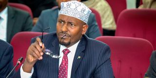 Wajir Governor Ahmed Abdullahi