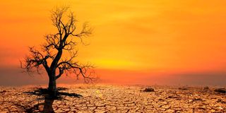 climate change