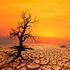 climate change