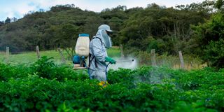 Farmer applying insecticide products on crop