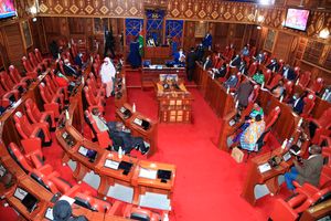 Senate sitting 