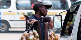 plastic ban, plastic bags, plastic pollution