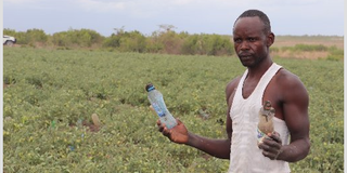 Plastics, Farming, Health, Climate Adaption. 