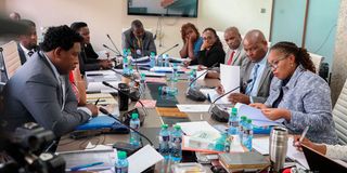 Suspended Kenya Medical Supplies Authority (Kemsa) Terry K. Ramadhani before the Senate Committee on Health