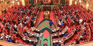 Parliament during a past session