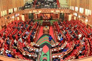 Parliament during a past session