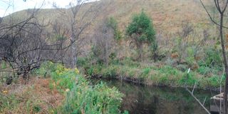 Aberdare National Park 