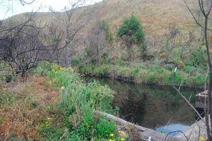 Aberdare National Park 