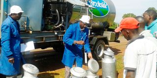 Brookside Dairy