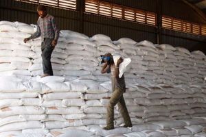 fertiliser subsidised