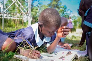 Pupils at Mboto Sunrise Primary School work on their competency-based curriculum assignment under a tree