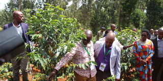 Rigathi Gachagua Mutwiri