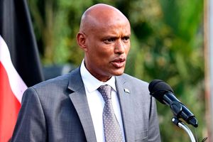 Director of the Directorate of Criminal Investigations Mohamed Amin