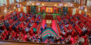 Members of the National Assembly