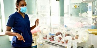 pumwani, milk bank, preterm babies