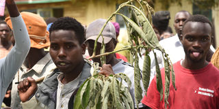 Kapreng villagers in Turbo, Uasin Gishu County protesting at Turbo Assistant County Commissioner's office