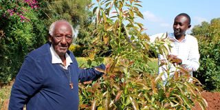 Mzee William Chiira, 90